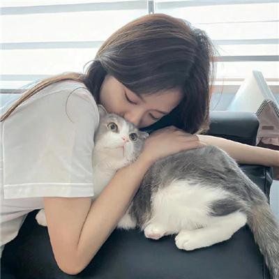 豫见她们